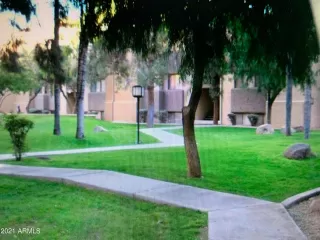 Photo #1: 6254537 Listing