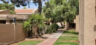 Photo #1: 6254630 Listing