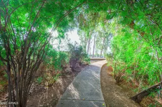 Photo #6: 6255183 Listing