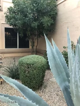 Photo #1: 6255825 Listing