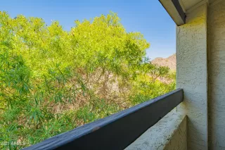 Photo #5: 6258528 Listing