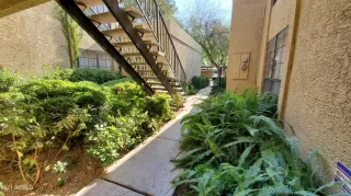 Photo #4: 6259139 Listing