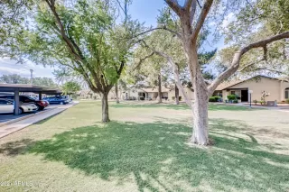 Photo #4: 6259438 Listing 