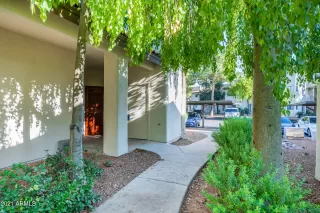 Photo #1: 6261417 Listing 