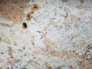 Photo #6: 6264151 Listing