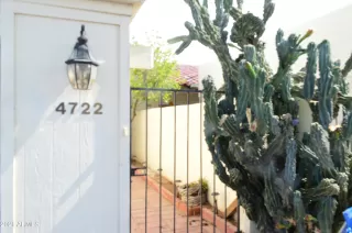 Photo #2: 6267811 Listing