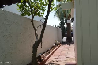 Photo #5: 6267811 Listing