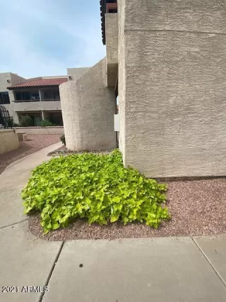 Photo #1: 6269887 Listing