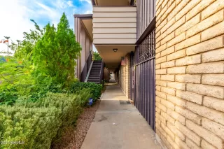 Photo #1: 6269892 Listing