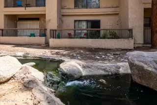 Photo #1: 6270993 Listing