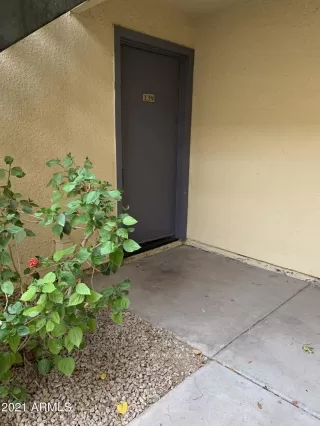 Photo #1: 6272520 Listing 