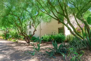 Photo #1: 6274524 Listing 