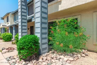 Photo #1: 6274793 Listing