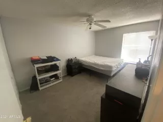 Photo #5: 6278230 Listing