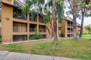 Photo #1: 6279835 Listing