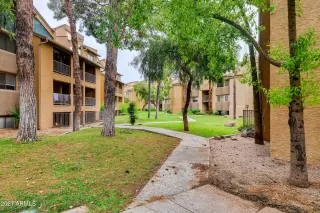 Photo #2: 6279835 Listing