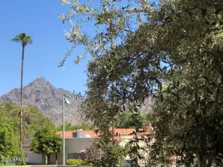 Photo #1: 6284456 Listing