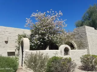 Photo #1: 6290442 Listing 