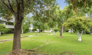 Photo #1: 6291421 Listing 