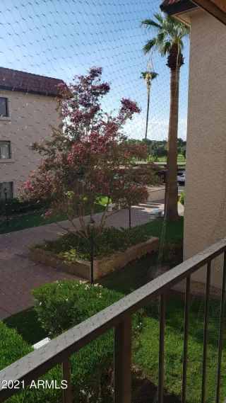 Photo #1: 6292313 Listing 