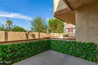 Photo #1: 6293441 Listing 