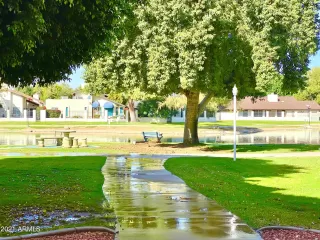 Photo #1: 6294273 Listing