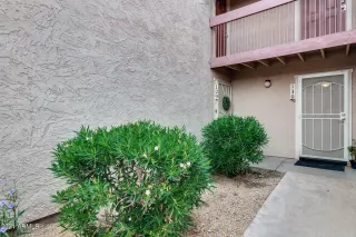 Photo #1: 6296574 Listing