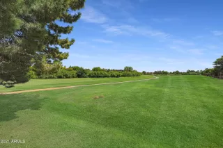 Photo #1: 6297153 Listing 