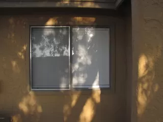 Photo #1: 6297284 Listing