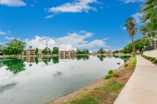 Photo #4: 6299210 Listing