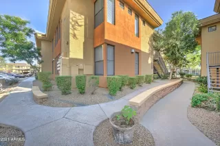 Photo #1: 6299379 Listing