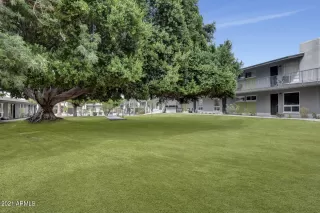 Photo #3: 6301653 Listing