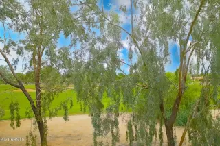 Photo #1: 6302931 Listing