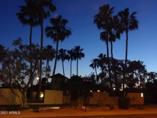 Photo #1: 6313310 Listing