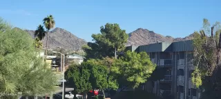 Photo #1: 6316902 Listing