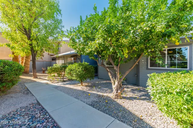 MLS: 6316905 Condo For Sale