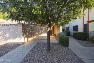 Photo #1: 6318780 Listing