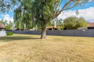 Photo #2: 6324821 Listing 