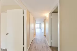 Photo #1: 6328286 Listing 