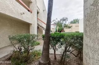 Photo #1: 6330280 Listing