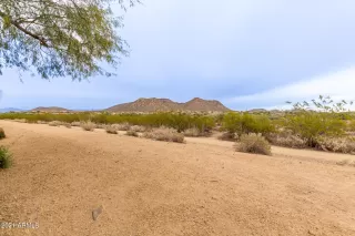 Photo #2: 6330574 Listing 