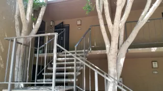 Photo #1: 6333136 Listing