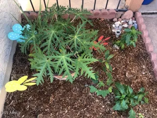 Photo #2: 6333672 Listing 