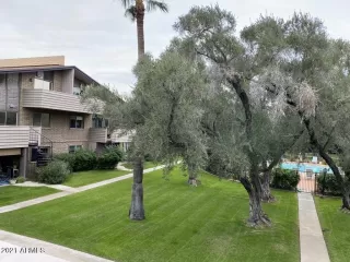 Photo #4: 6334142 Listing 