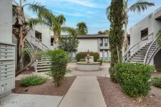 Photo #1: 6337452 Listing