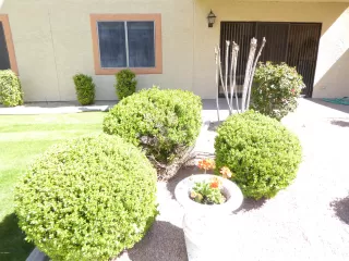 Photo #3: 6339205 Listing