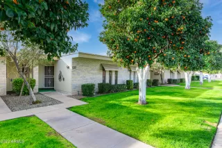 Photo #1: 6341757 Listing