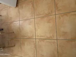 Photo #3: 6342638 Listing