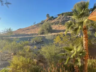 Photo #1: 6344618 Listing 