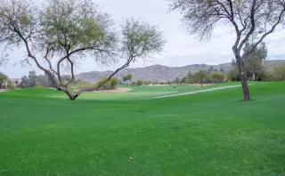 Photo #6: 6345580 Listing